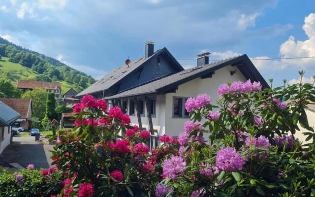 Locations des 3 sommets avec Sauna et Spa en Alsace