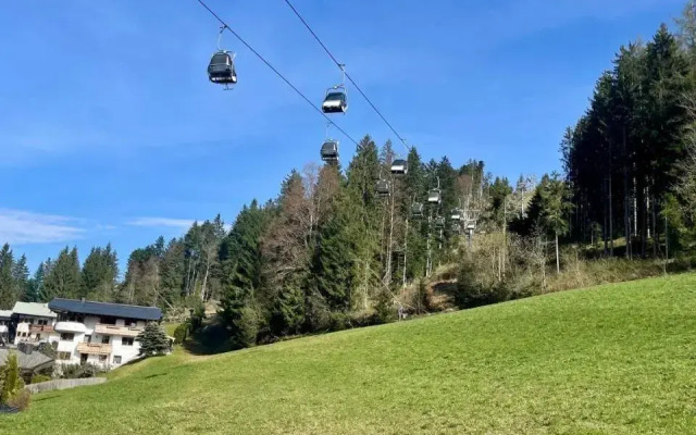 Apartment Berghof Ellmau
