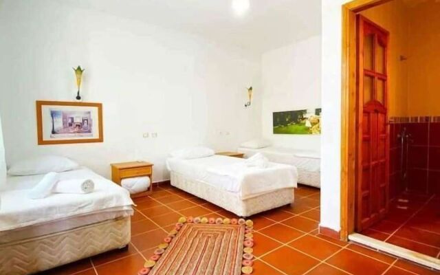 Gaia Hotel Olimpos
