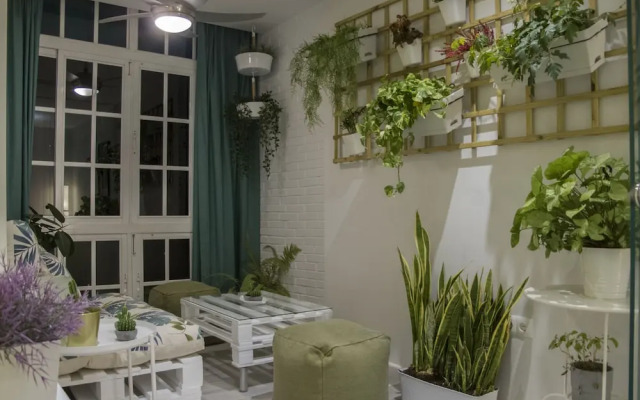 Living4Malaga Greenhouse