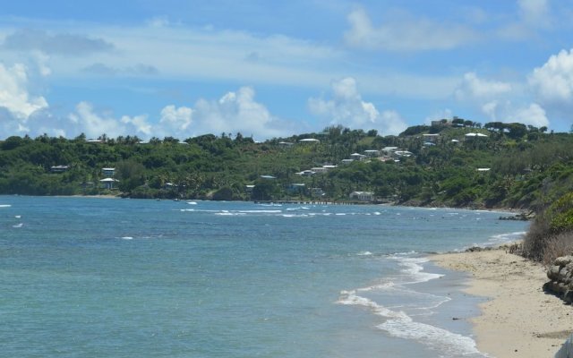 Swim Barbados Holidays