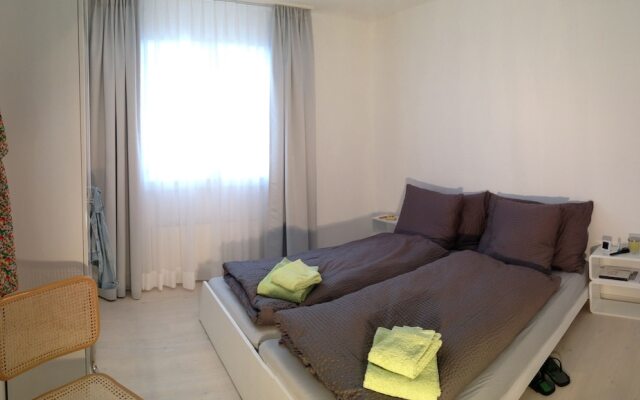 Apartment 12 Ginseng Davos Laret