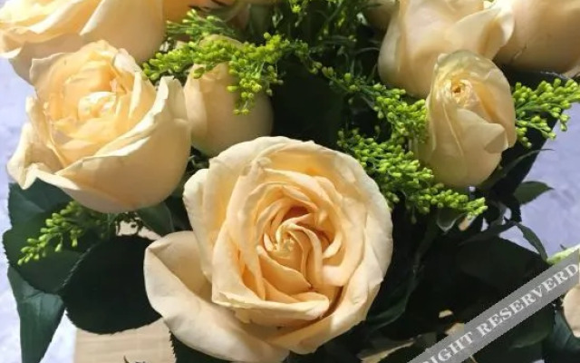 Jianshui Yanqitang Private Courtyard Inn (Jianshui Ancient City Small Train Store)