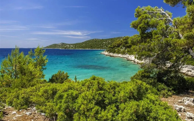 Apartments Kodžoman