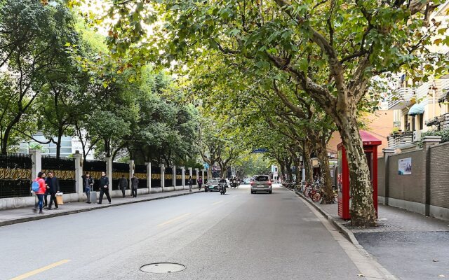 Old French Concession Coziness Changle Road