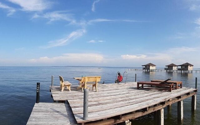 Banana Homestay
