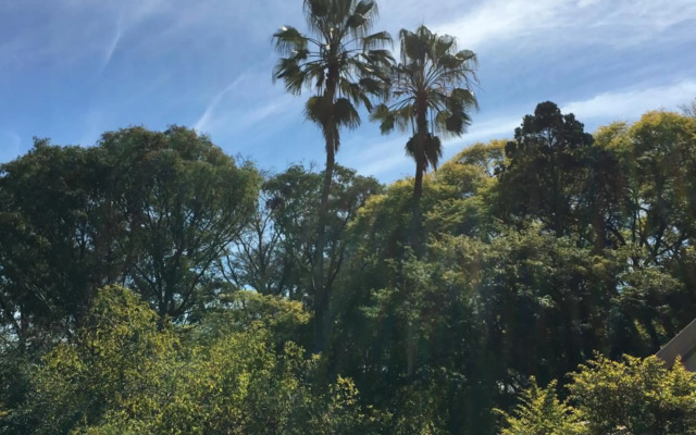 Peaches & Cream Bed & Breakfast