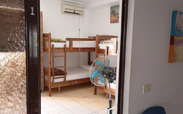 All Stars Hostel In Tirane