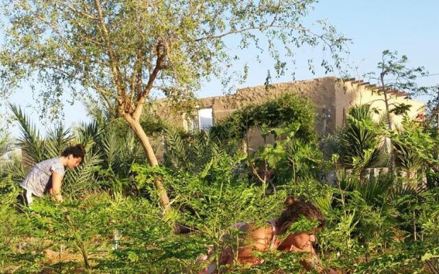 Habiba Organic Farm