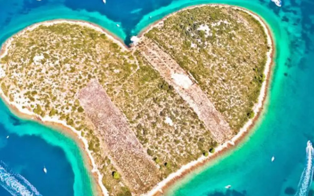 Villa Maslina in Sikovo