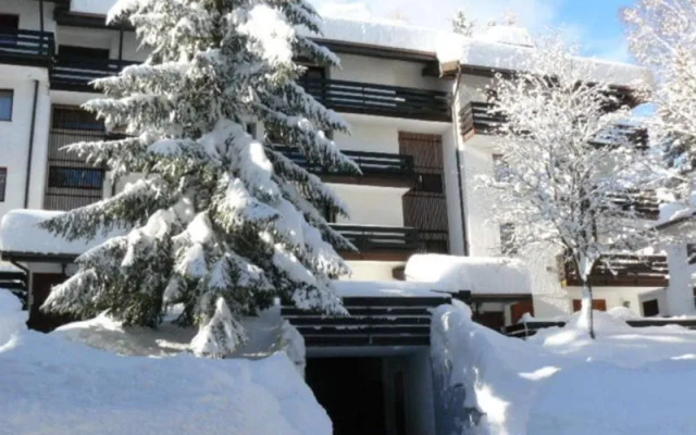 Agenzia Immobiliare Folgarida