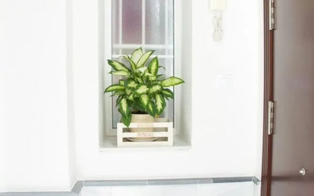 Apartamento Cadiz Centro Historico