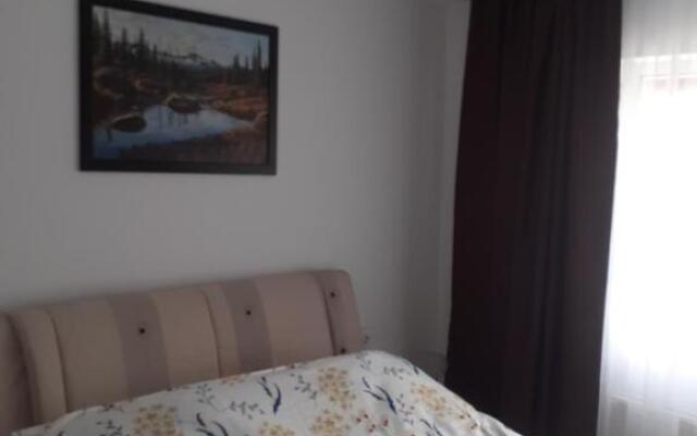 Apartament confortabil în Bucovina