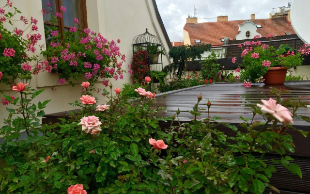Old Town Boutique Apartments