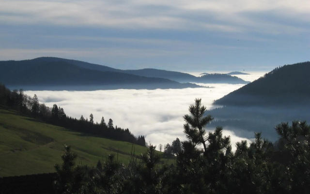 Schöne Aussicht