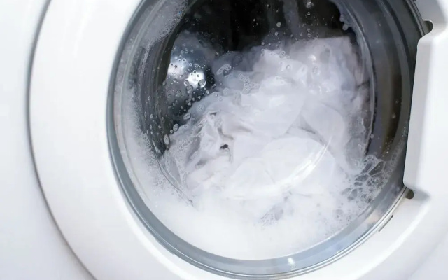 KingBed PetFriendly Washer Dryer Sleep16