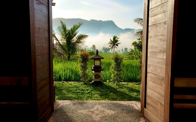 Ume Dukuh Home Sidemen