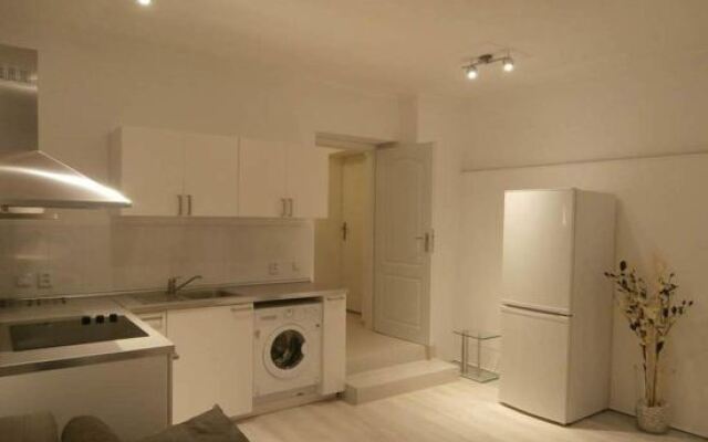 Apartment Mladějovského