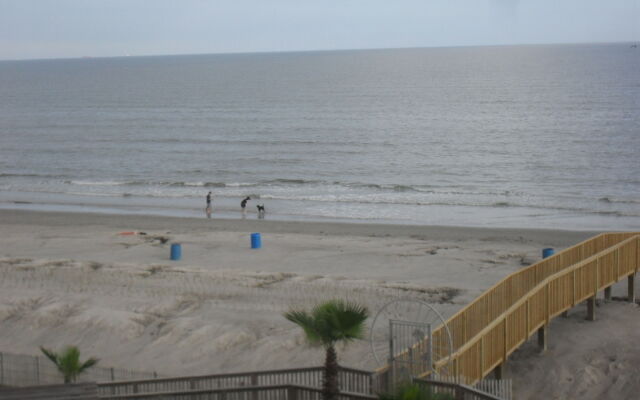 Seascape Deluxe Beach Condos by A B Sea Rentals