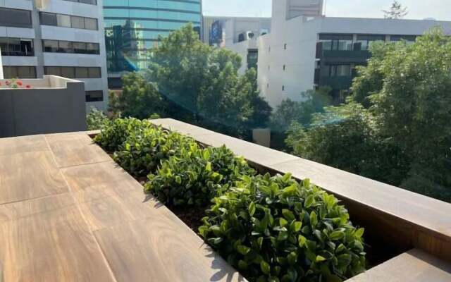 Amazing confort Apartment in Polanco
