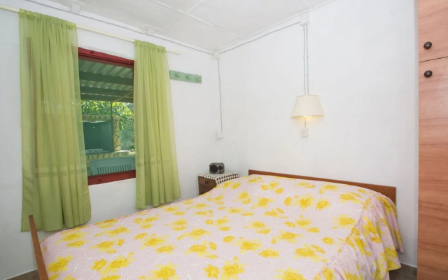 Senka1 - Pure Nature & Serenity - H