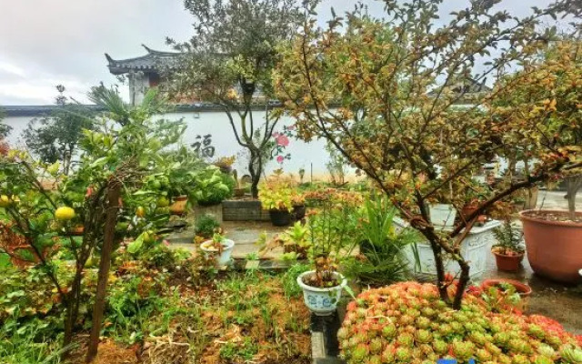Lijiang Wenfu Courtyard Inn