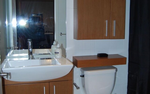 Luxury Downtown Water Front Condo