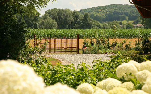 Restored Farmhouse in Wijlre With two Terraces