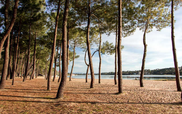 Résidence Hôtelière les Acanthes