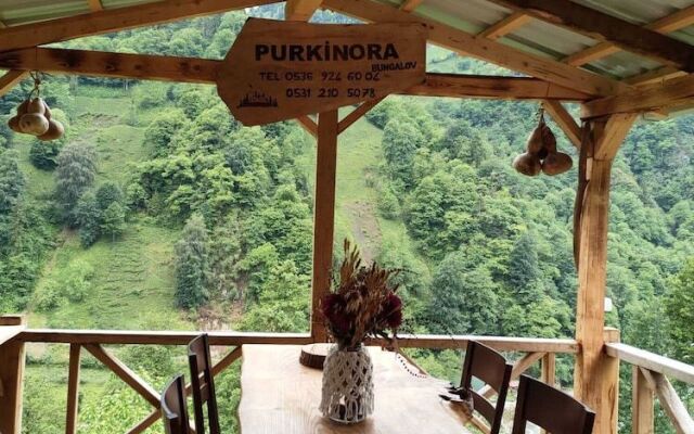 Purkinora Bungalov