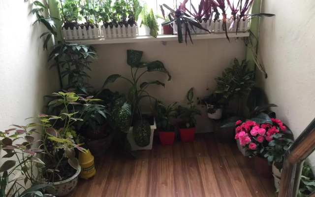 Cozy Homestay