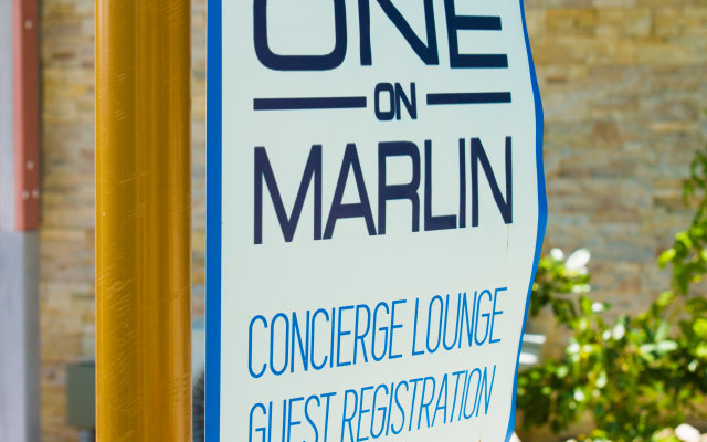 One On Marlin – Adults Only