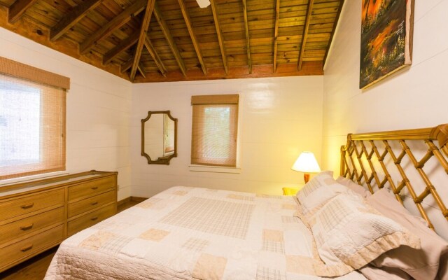 Lemon Tree House