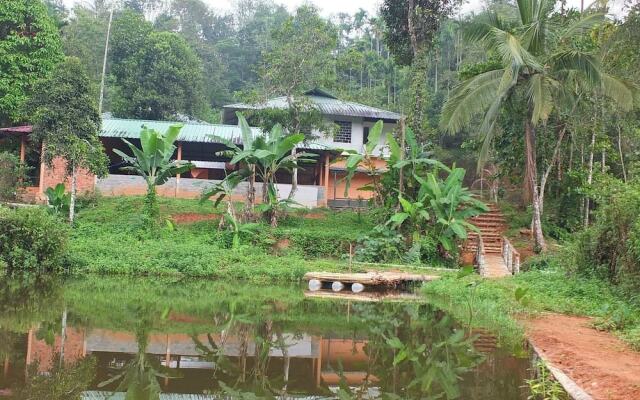Jungle Valley Resort