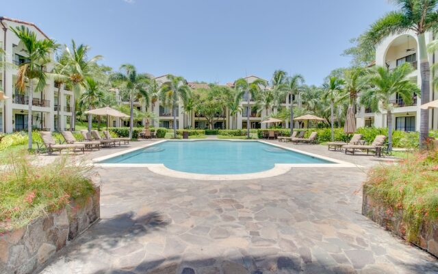 Pacifico Lifestyle 1312