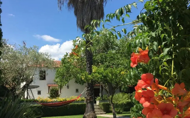 Villa Olive