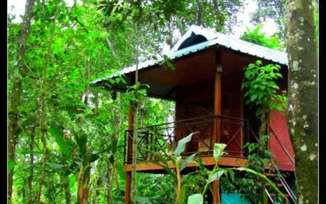 Monsoon Retreats