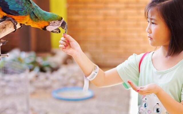 River Walk Urban Camping House