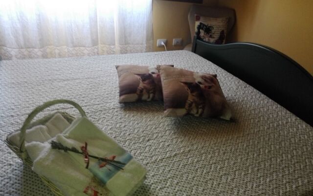 Affittacamere Paradiso