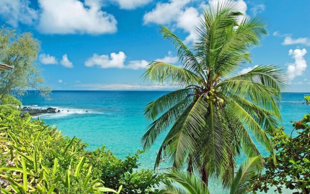 Royal Kahana 618 by RedAwning