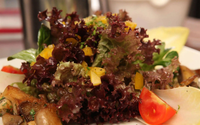 Gasthof-Pension Brauner Hirsch