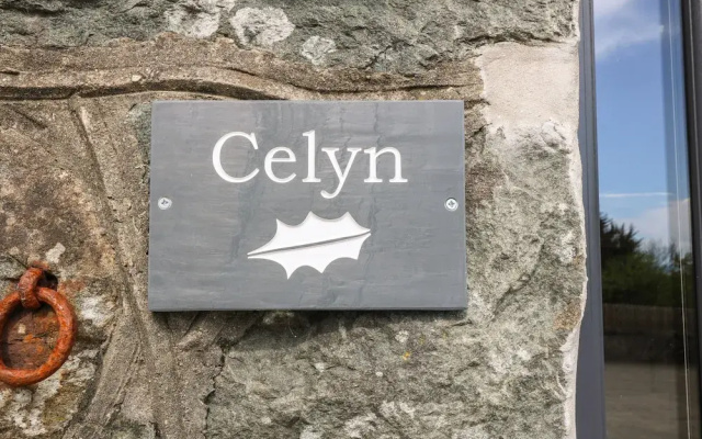 Tyddyn Sianel - Celyn