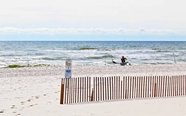 Seascape 102 by Youngs Suncoast