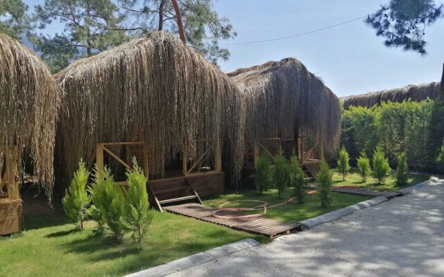 Green Pine Beach & Bungalows