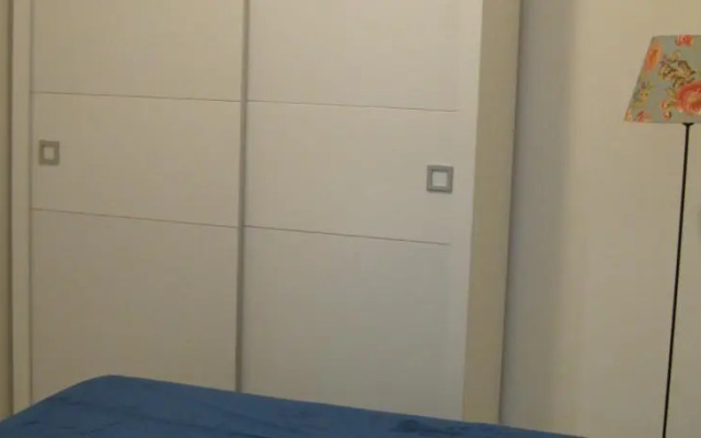 Ministro Viveiros de Castro