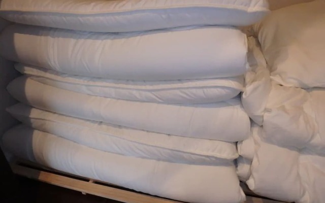 Longvacation Okinawa 301