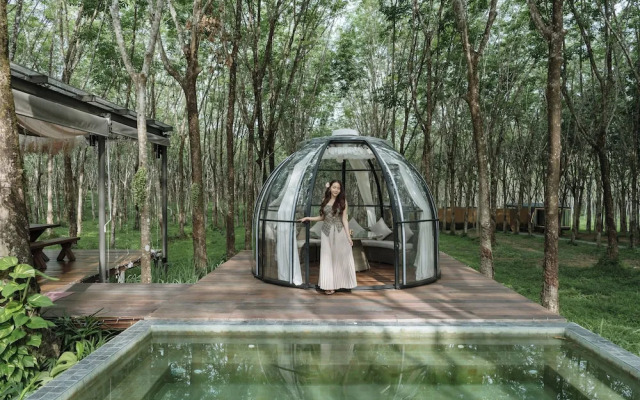 Timber Society Boutique Hideaway