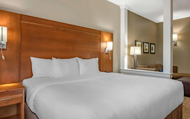 Comfort Suites Hotel and Conference Center