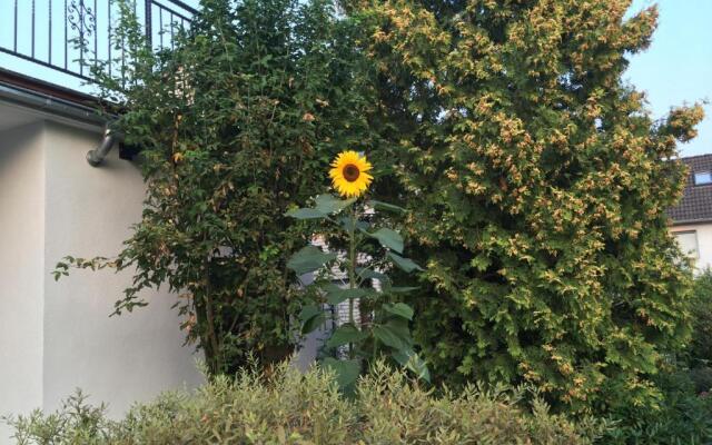 Ferienhaus Sonnenblume