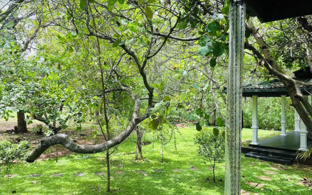 Sigiri Suncap Cottage